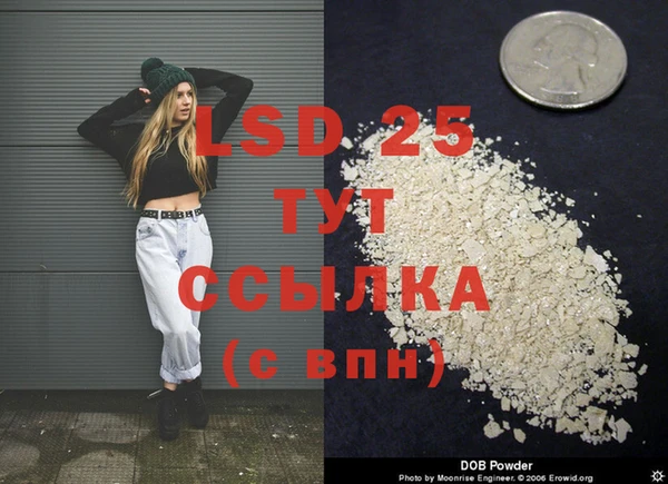 хмурый Лагань