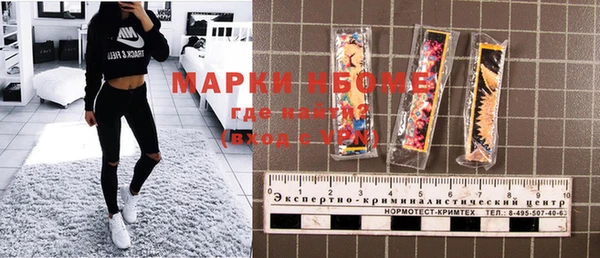 хмурый Лагань