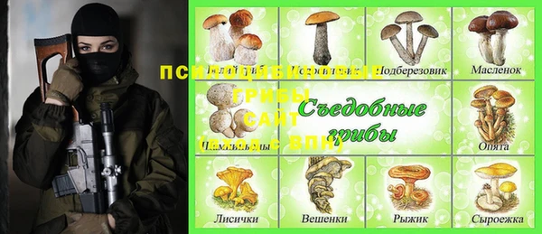 каннабис Лабытнанги
