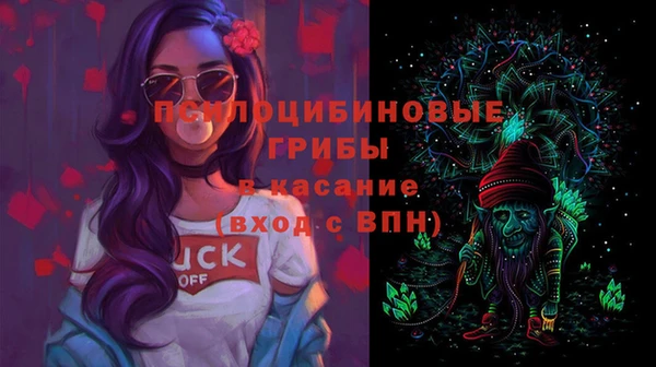 гидропоника Долгопрудный