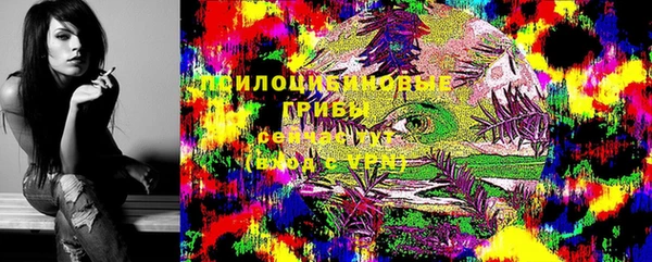 хмурый Лагань