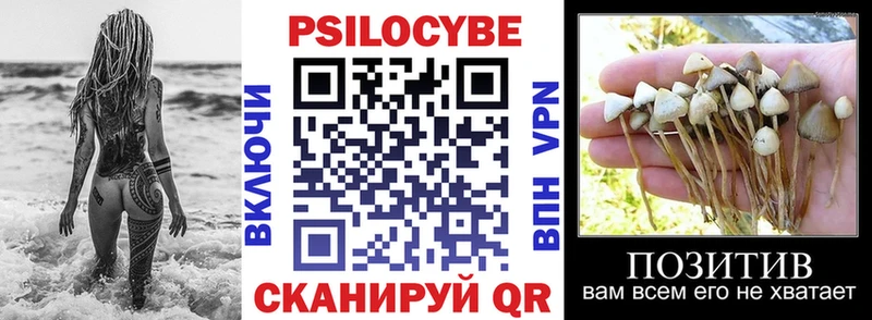 Псилоцибиновые грибы GOLDEN TEACHER  наркота  Новая Усмань 
